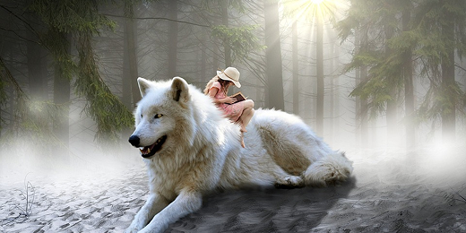 Animal totem loup : équilibre entre intuition, liberté et loyauté