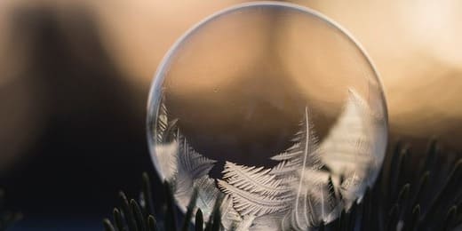 How to Connect with Your Spirit Animal Through Dreams and Signs
