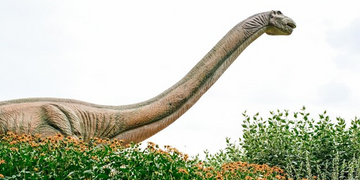 Animal Totem Dinosaure : Le Guide du Pouvoir Ancestral, de la Résilience et de la Transformation