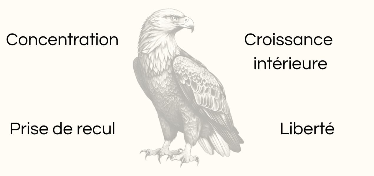 Signification animal totem aigle