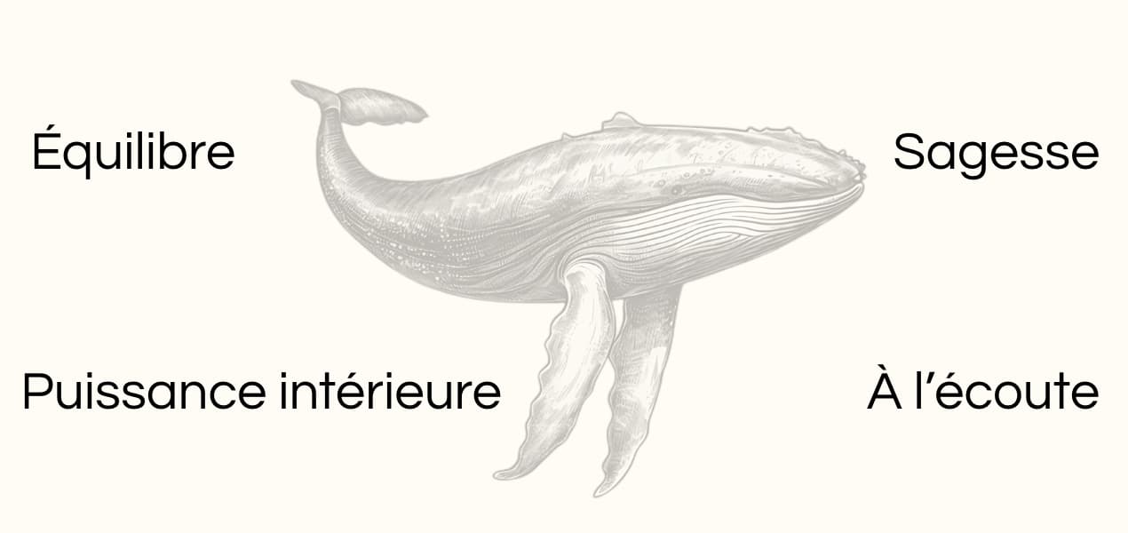 Signification animal totem baleine dessin