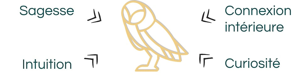 Signification animal totem chouette