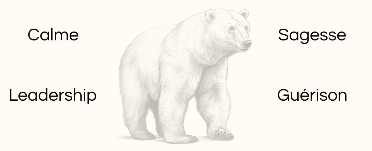 Signification animal totem ours polaire
