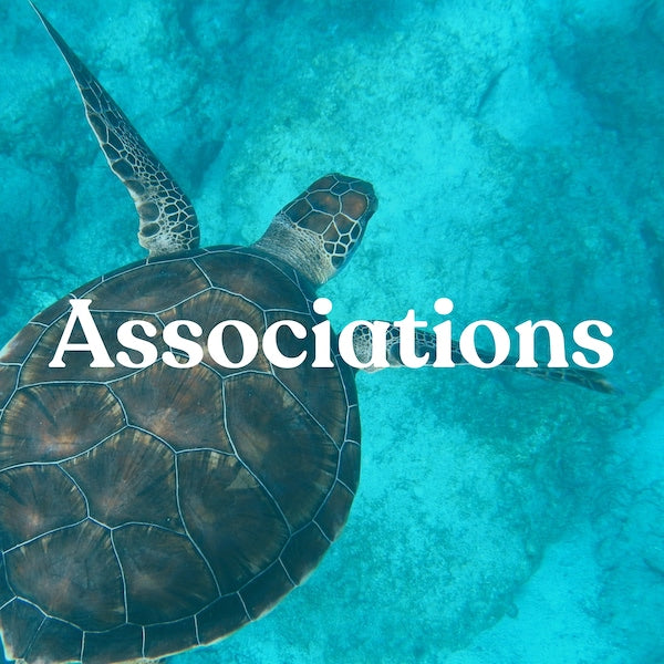 associations avec Tortue de Mer