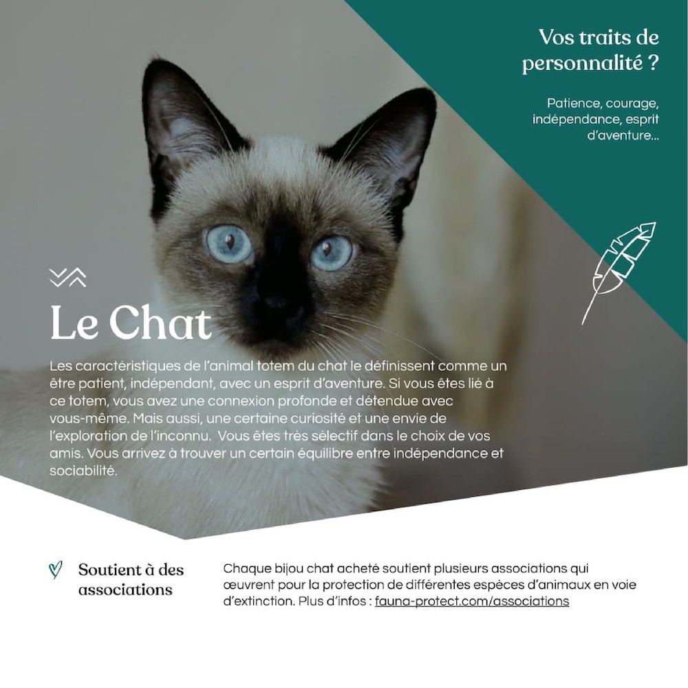 Fiche caractéristique animal totem chat