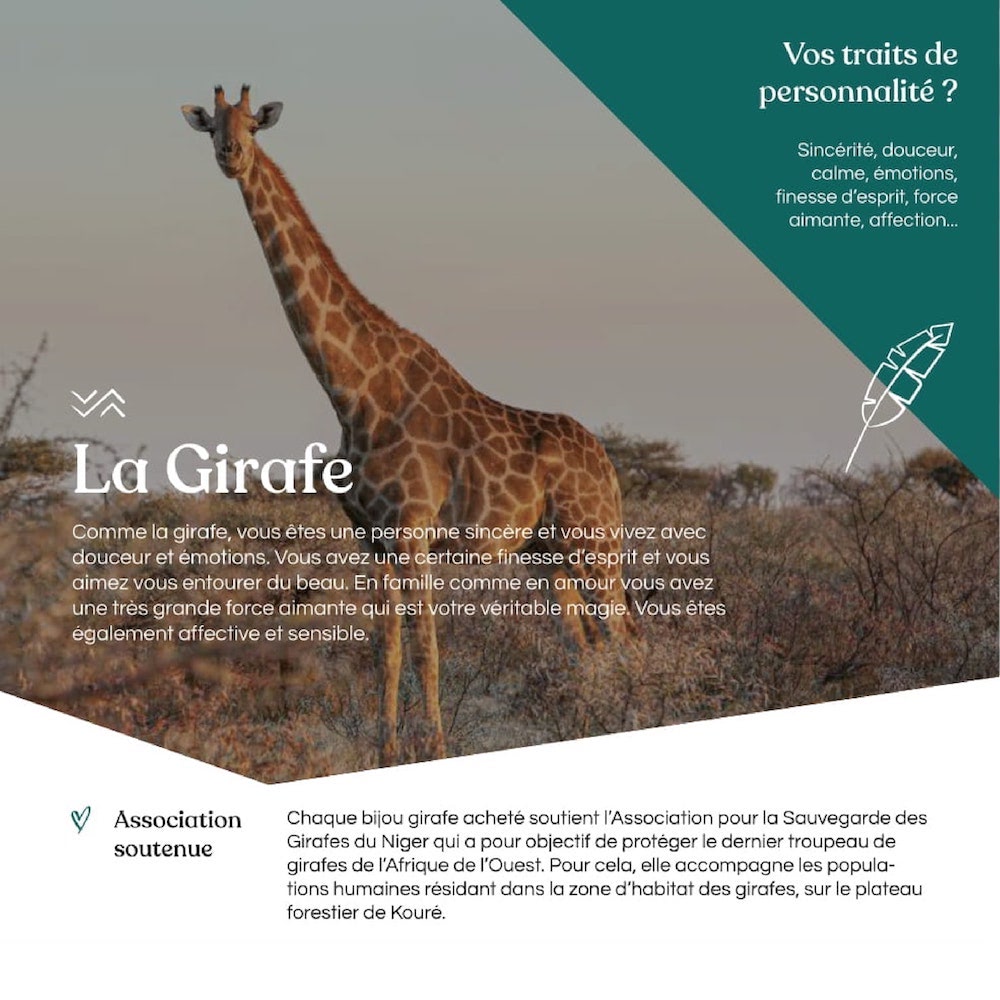 Fiche caractéristique girafe animal totem
