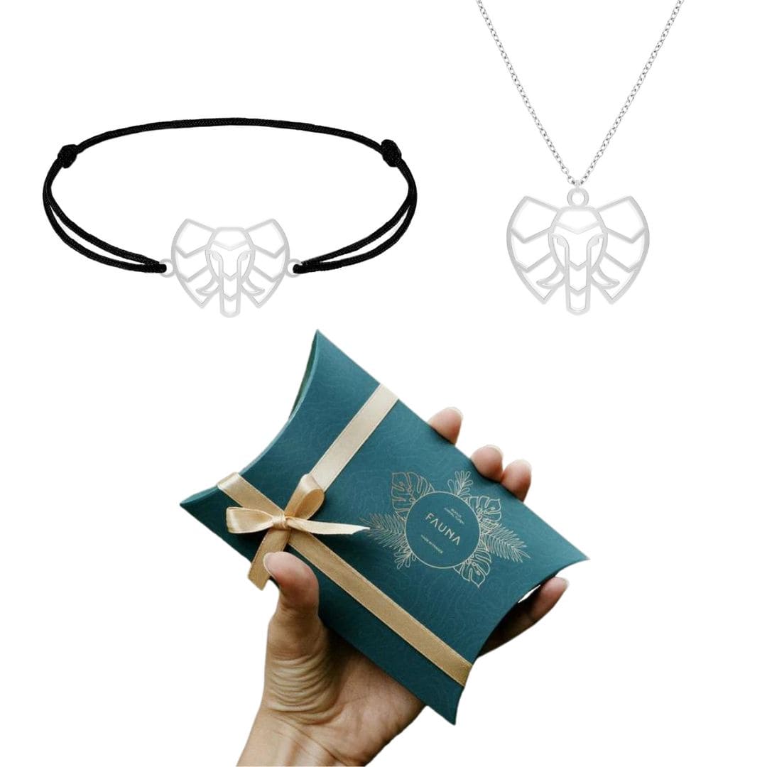Elephant gift box