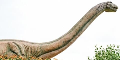 Animal Totem Dinosaure : Le Guide du Pouvoir Ancestral, de la Résilience et de la Transformation