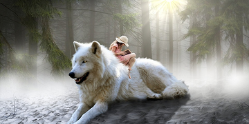 Animal totem loup : équilibre entre intuition, liberté et loyauté