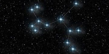 Découvrez votre animal totem selon votre signe astrologique