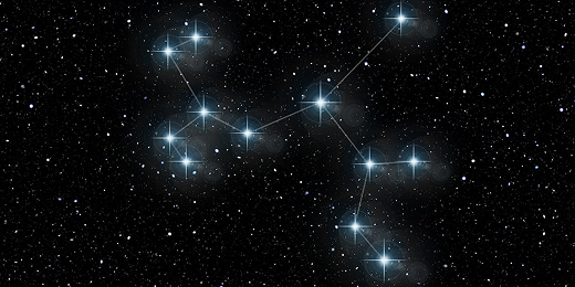 Découvrez votre animal totem selon votre signe astrologique