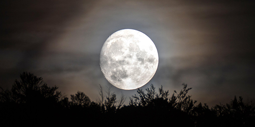 Calendrier Lunaire 2026 : Dates des Phases de la Lune et Guide Pratique