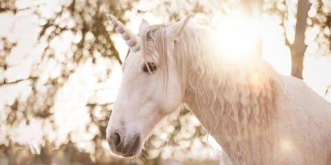 Animal Totem Licorne : Le Guide Ultime de la Magie, de la Pureté et de la Spiritualité