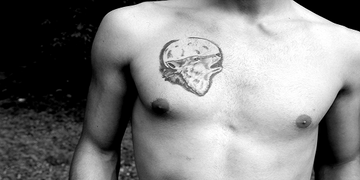 Tatouage Animal : Significations de 30 Totems + 200 Idées [Guide 2026]