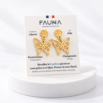 Boucles d'oreilles papillon or sur carte Fauna