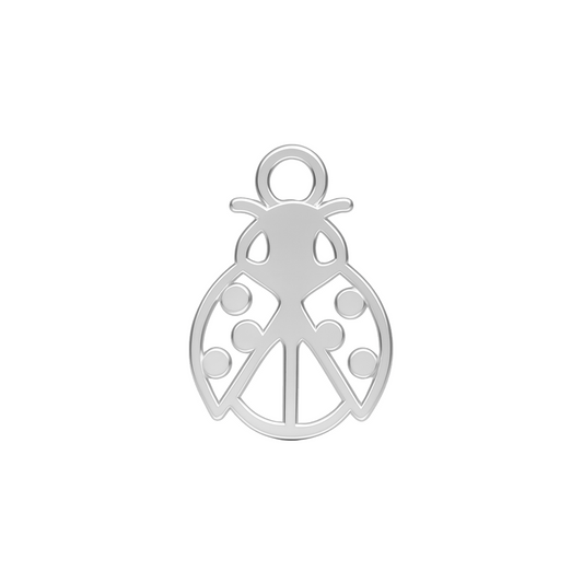 Charm Ladybug Fauna Kids
