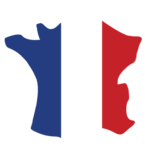 Logo France Drapeau tricolore