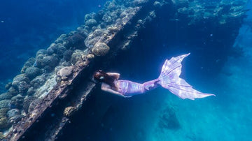 La symbolique de l'animal